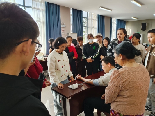 瑞丽市第四周期社区健康倡导与行为干预项目工作顺利启动