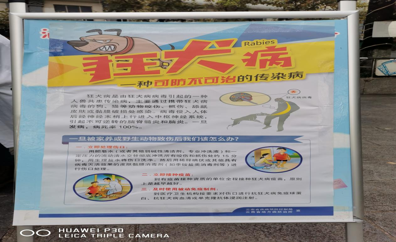 沾益区疾控中心开展“世界狂犬病日”宣传