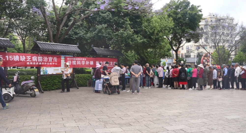 通海县开展5.15碘缺乏病防治宣传工作