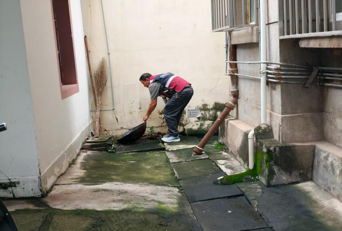 元江县疾控中心开展伊蚊调查强化虫媒传染病安全防护网