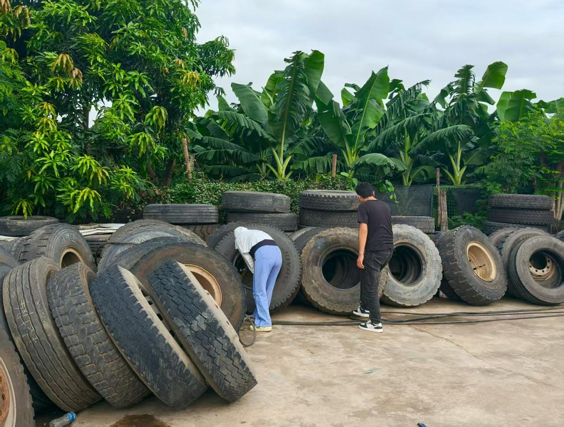 元江县疾控中心开展伊蚊调查强化虫媒传染病安全防护网