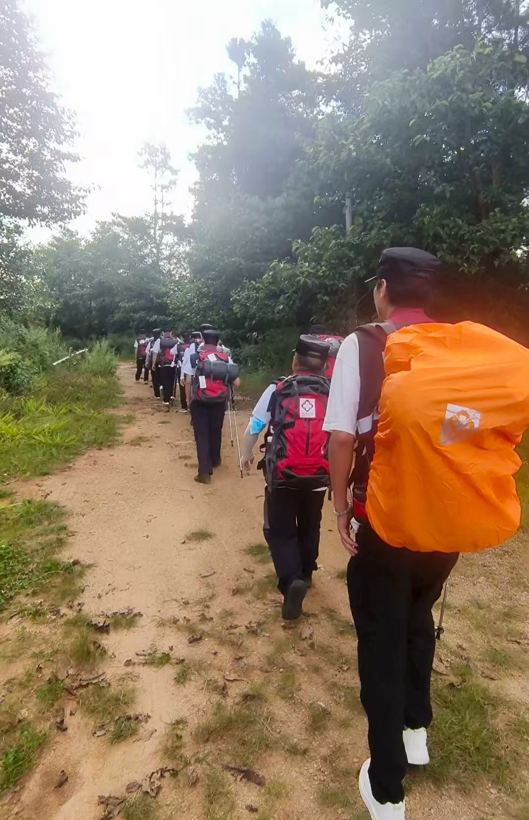 通海县开展2025年 基孔肯雅热防控卫生应急演练——卫爱守护 应急先行