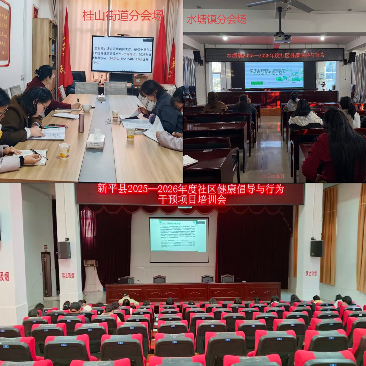 培训赋能筑健康、项目推进惠民生—新平县召开2025—2026年度社区健康倡导与行为干预项目视频培训会