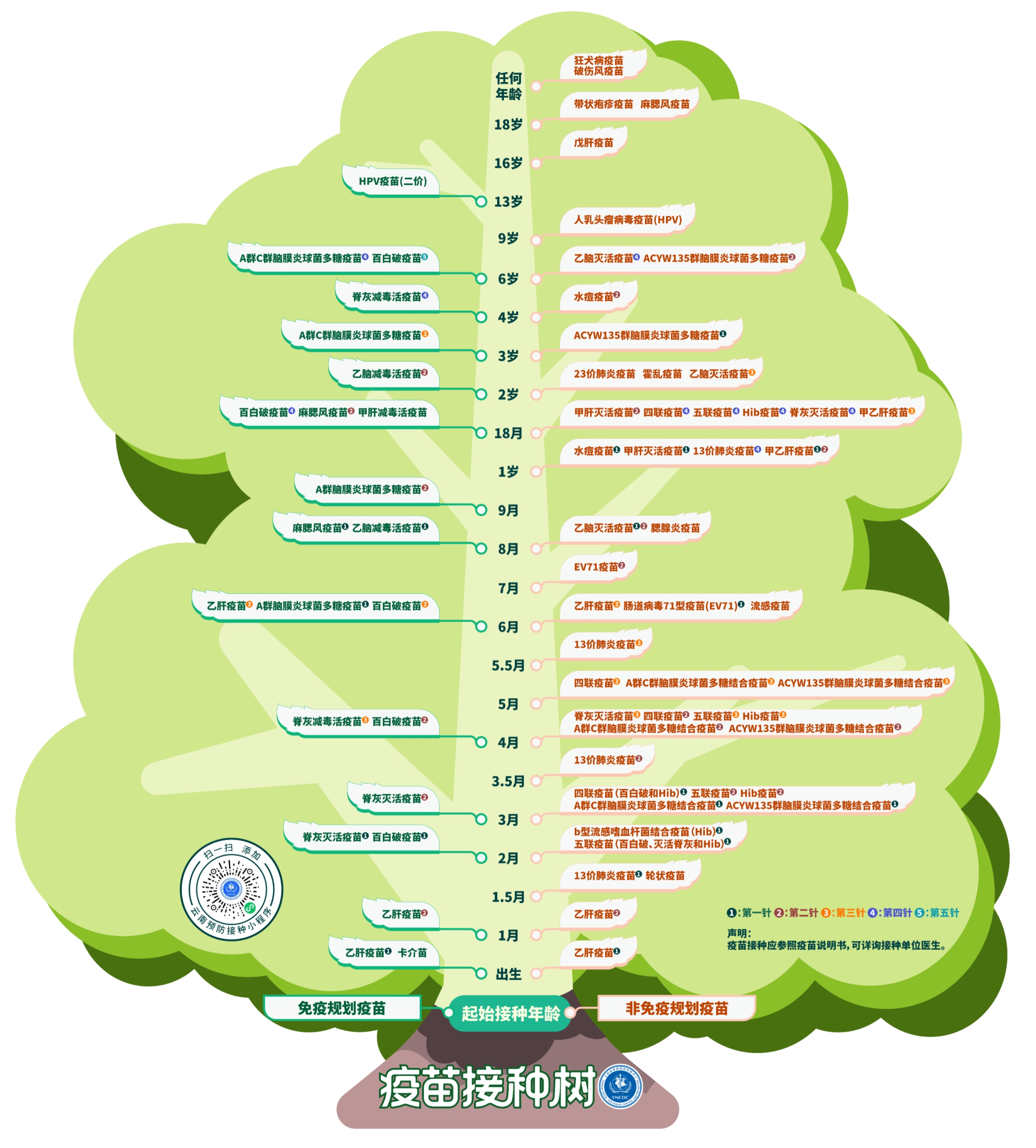 云南省疾控中心创新推出“疫苗接种树” 提升免疫程序告知效率