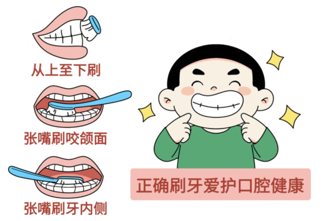 第36个爱牙日：关注全生命周期口腔健康， 健康生活从“齿”开始