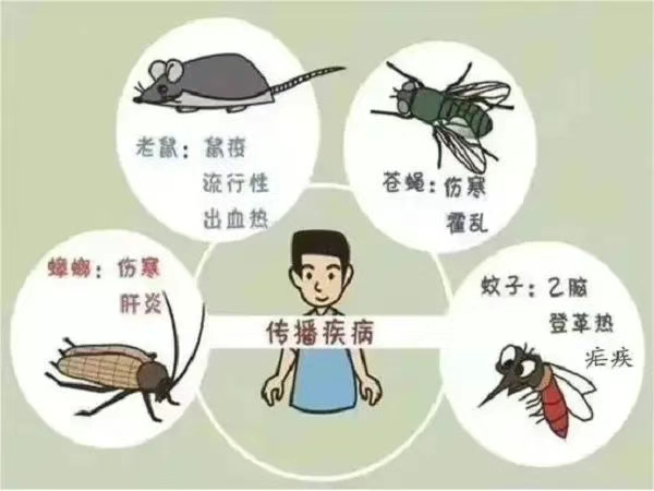 灾后防病健康科普知识