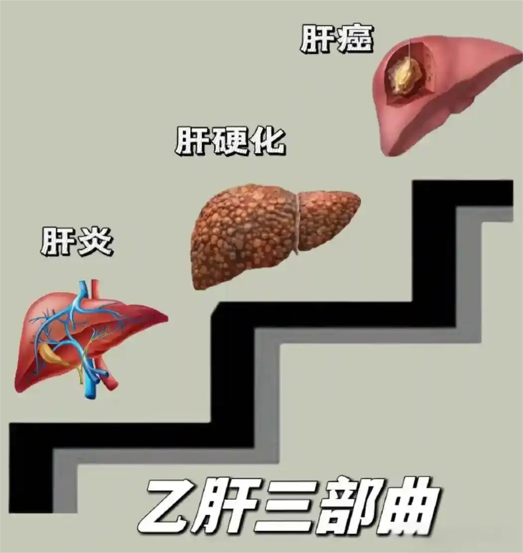 /images/jkzt/jkzs/2025/07/30/0A5F0D02956CC5E6166C7236F2CC65D4.jpg