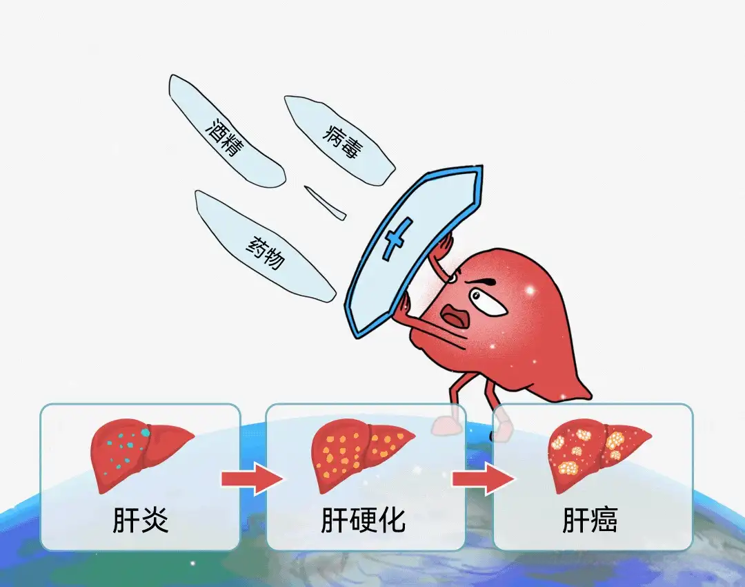 /images/jkzt/jkzs/2025/07/30/9133E0E091D6DE7BD8BE1FF21F600160.png
