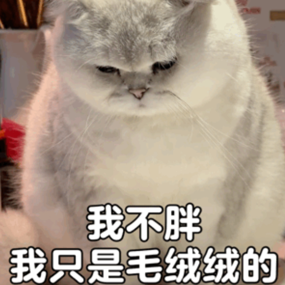 天越冷，肉越囤？这样吃和动，让你轻松“享瘦”！