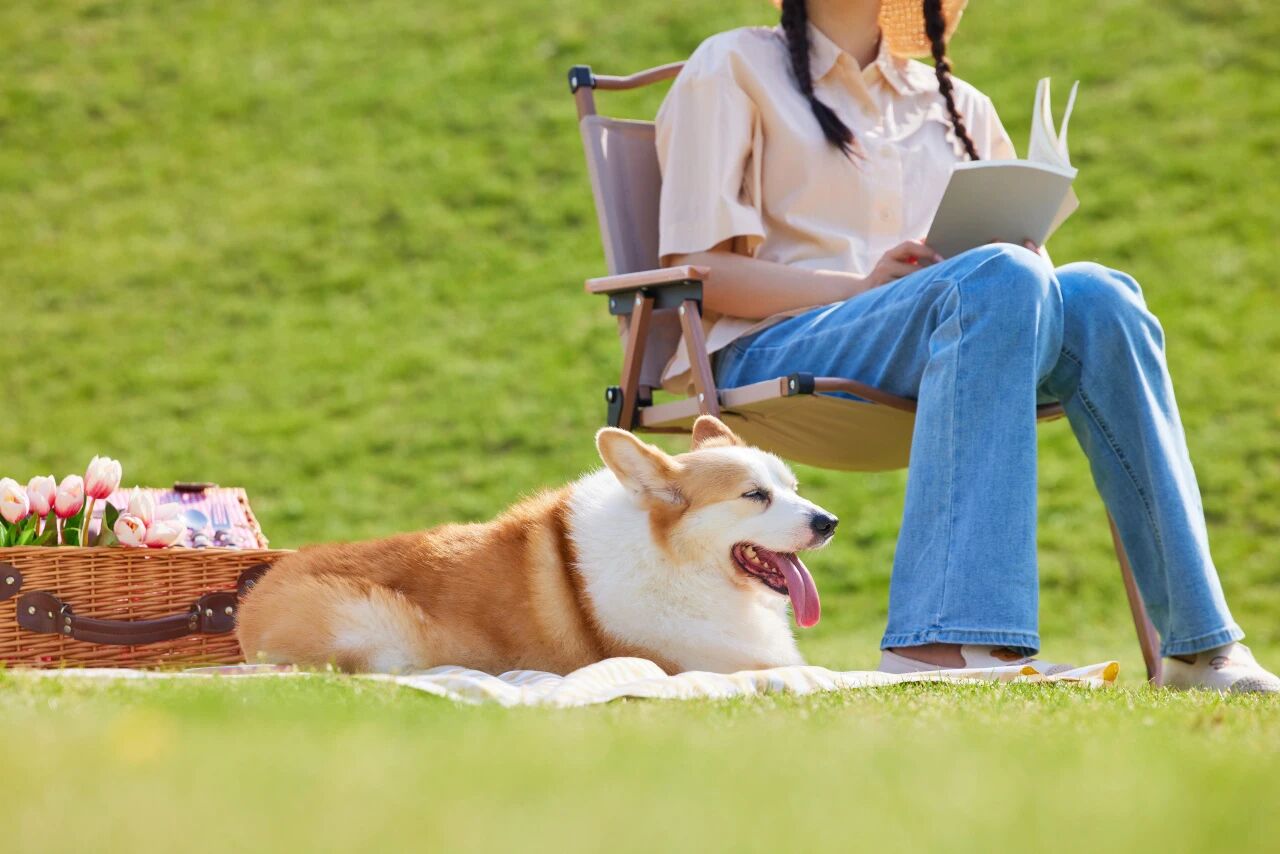 从今天起，吃好多动、多晒太阳，给骨骼加点“骨气”~