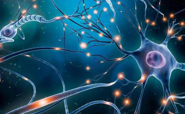 62岁大爷每天跑5公里，1年从不间断，体检结果让医生都愣了