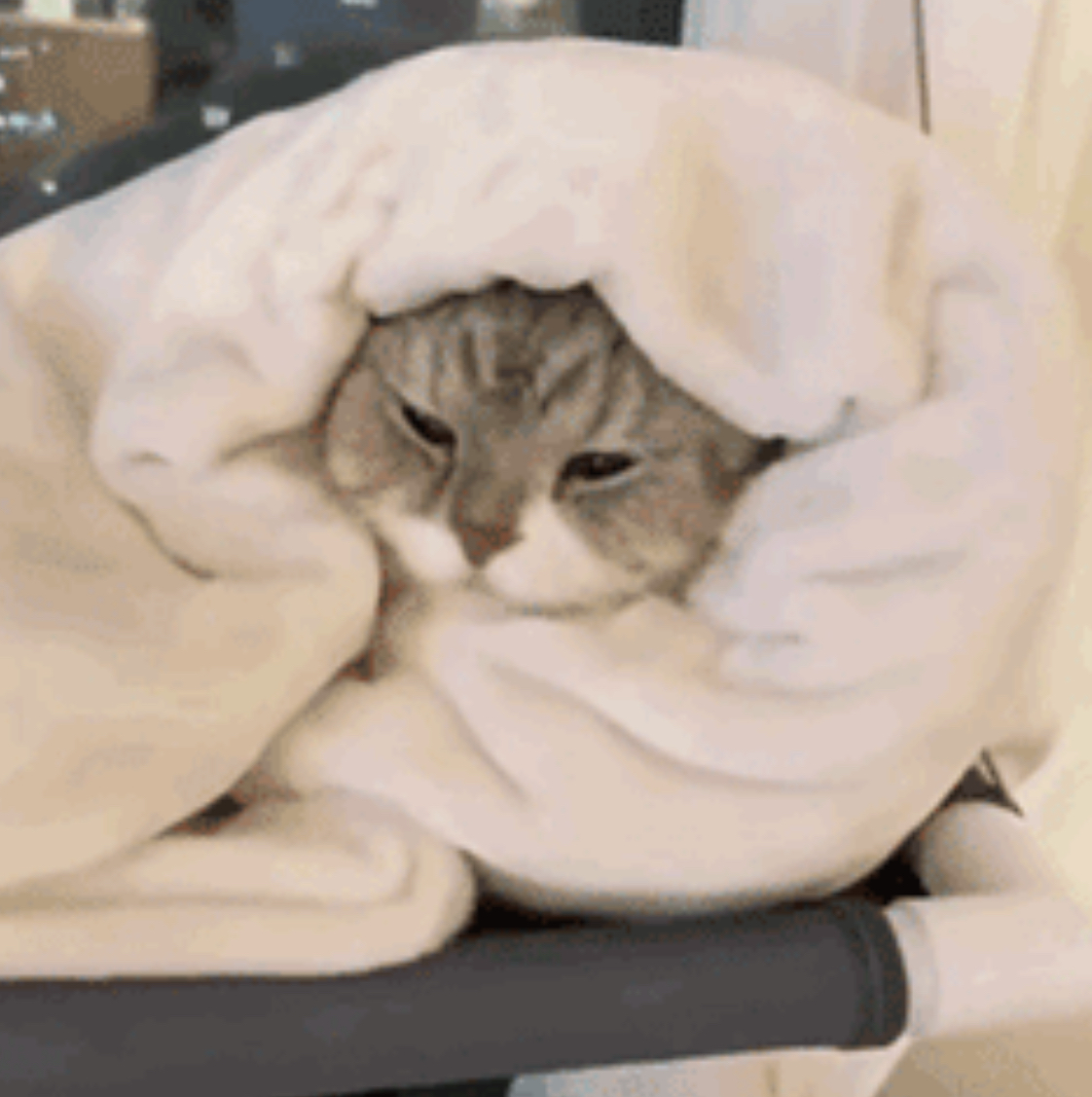 当“倒春寒”遇上“养生刺客”，你的血管可能正在“蹦极”！