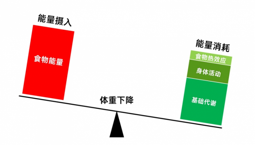 为什么减重总失败?先看看是不是忽略了它