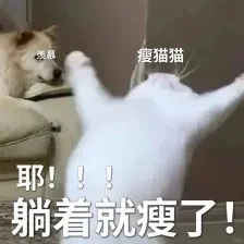 为什么减重总失败?先看看是不是忽略了它