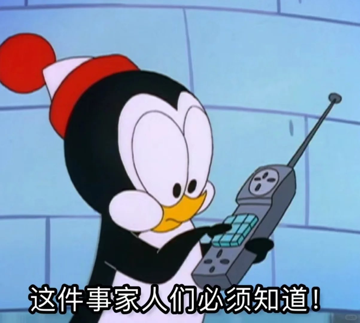 瘦≠好身材!真正决定线条的,是TA→