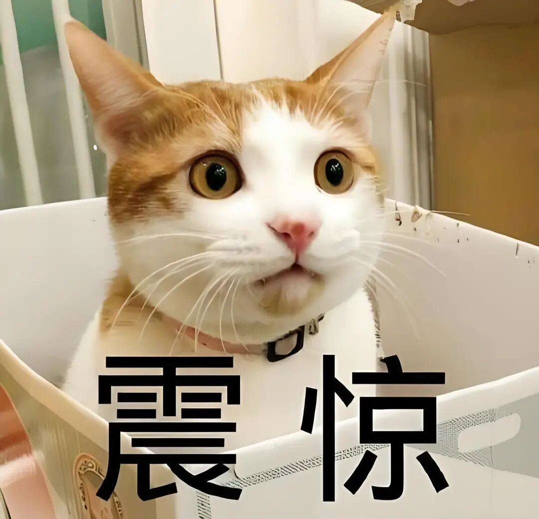 天天跑步还不掉秤?别傻跑了,这锅运动不背!