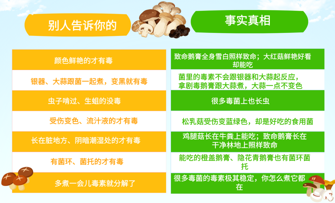 “我以为我认识,但它‘变’了”——凭经验采食野生菌,是在用命开盲盒